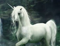 /album/unicornios/images-3-jpg/